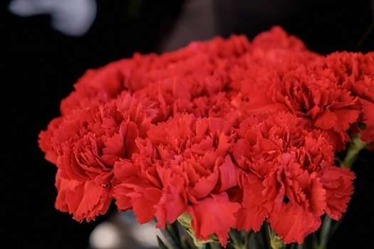 Ушёл из жизни бывший форвард волгоградского «Ротора» Максим Бондаренко