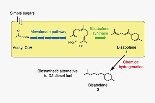 Ученые создали микропроцессор толщиной в несколько атомов