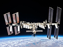 Звездный Ноев ковчег: угрозы и польза от крошечных обитателей МКС