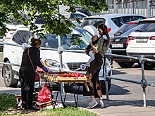 Самозанятые получили льготы малого и среднего бизнеса