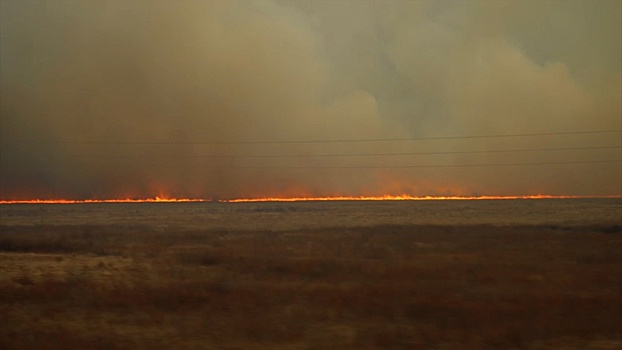 Сотни пожаров по вине человека: как Дальний Восток и Сибирь борются с огнем