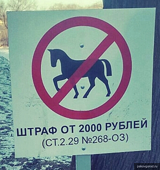 В парках Пскова запретили катания на лошадях