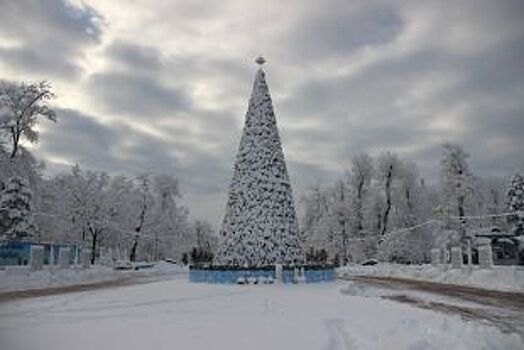 13 января в Майкопе состоится закрытие главной городской елки