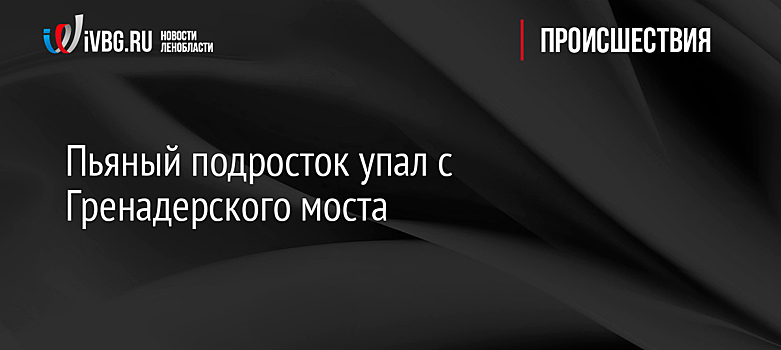 Пьяный подросток упал с Гренадерского моста