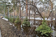 Зеленая Роща в Екатеринбурге ушла под воду