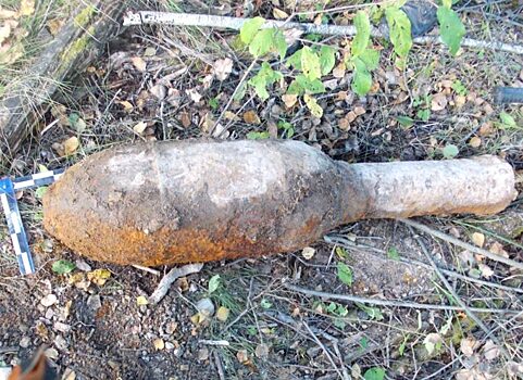 Более 120 боеприпасов нашли в лесу вблизи Барятино