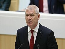 Матыцин призвал депутатов пересмотреть сроки лицензирования спортшкол