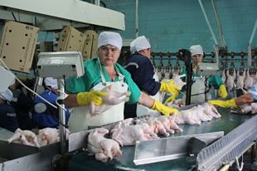 Вологодская область выплатила долг ВТБ за птицефабрики