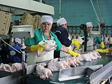 Вологодская область выплатила долг ВТБ за птицефабрики