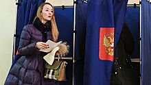 На выборах в Петербурге удалось пресечь около 70% потенциальных нарушений