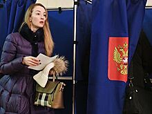 На выборах в Петербурге удалось пресечь около 70% потенциальных нарушений
