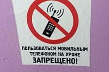 В школах Красноярска жестко запрещать мобильные телефоны не будут