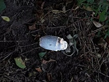 В Белгородской области школьникам покажут на уроках украинские мины