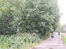 Дом в осаде