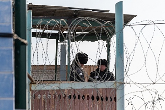 Самарские заключенные могут находиться в зоне СВО