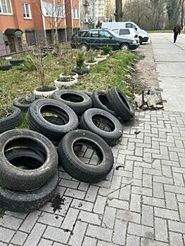 Пенсионерка из Калининграда объявила войну парковке под окнами и принялась сажать деревья и гонять водителей