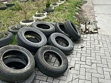 Пенсионерка из Калининграда объявила войну парковке под окнами и принялась сажать деревья и гонять водителей