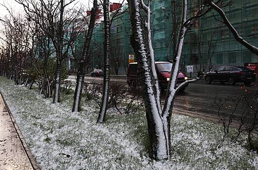 Части россиян пообещали снег на майские праздники