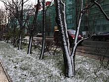 Части россиян пообещали снег на майские праздники