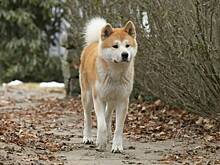 Фестиваль эмпатии «Плакать полезно» стартовал в киноцентре «Октябрь»