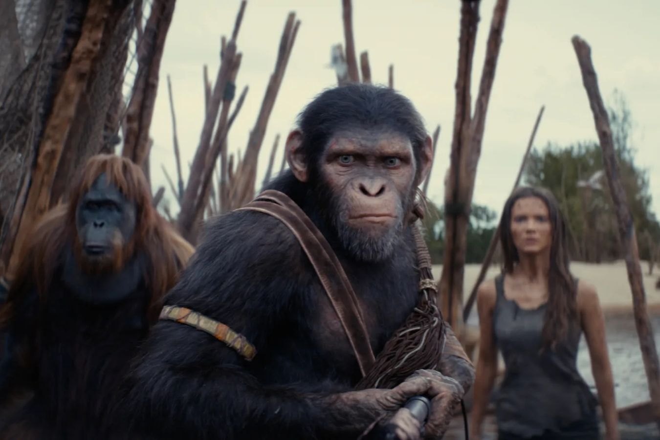 Актеры из фильма «Планета обезьян: Новое царство» рассказали о любимых играх