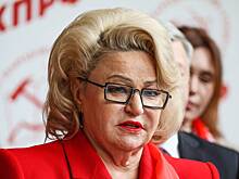 В Госдуме посоветовали родившим за границей звездам не возвращаться