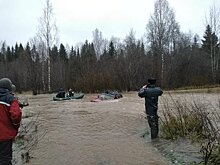 Карельские энергетики спасли водителя, который 5 часов просидел в реке на крыше затонувшего автомобиля