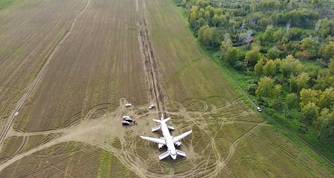 Пшеничное поле с севшим на него самолетом Airbus A320 под Новосибирском попало на видео