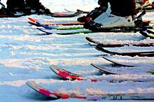 Лыжные трассы подготовят к зиме в Некрасовке