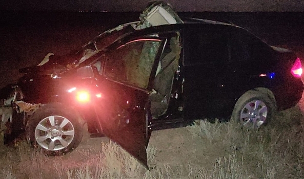 В Волгоградской области на трассе иномарка столкнулась с коровой