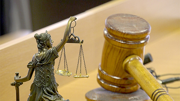 Ребенок из Сургута получит полмиллиона рублей за нападение бездомных собак