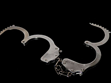 Требовавшему от Травникова 5 млн общественнику продлили арест