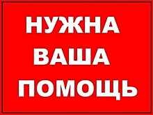 За первые три месяца текущего года в Тверской области пропали 103 человека