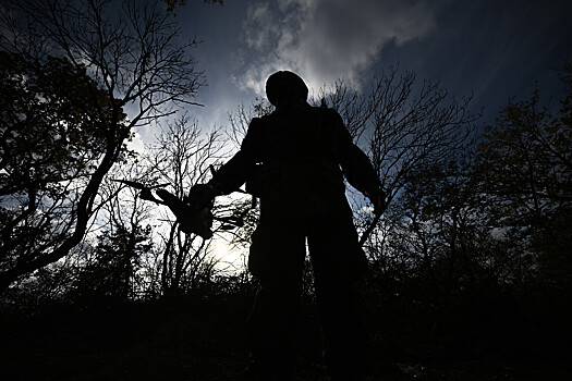 Чиновник из Петербурга ушел с должности и совершил подвиг в зоне СВО