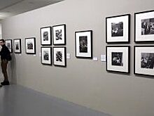 Картины художников-графиков представят в Государственном музее Александра Пушкина