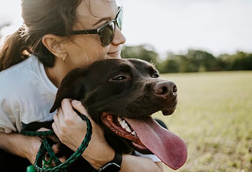 Почему собаки всегда так рады хозяину?