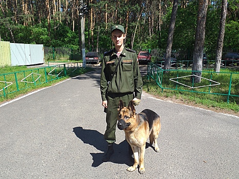 В Курском автотехническом колледже собака Росгвардии дала мастер-класс питомцам студентов