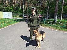 В Курском автотехническом колледже собака Росгвардии дала мастер-класс питомцам студентов