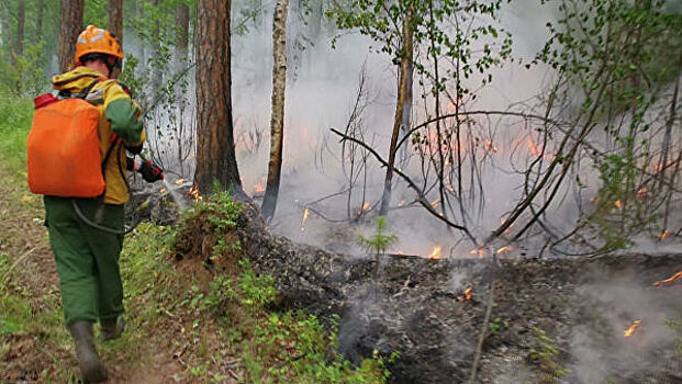 МЧС сообщило о снижении роста площадей лесных пожаров в трех районах Сибири