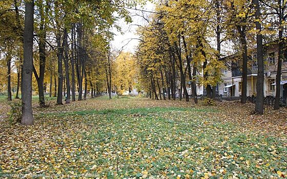 В Приокском благоустроят Хлебный сквер