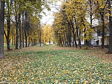 В Приокском благоустроят Хлебный сквер