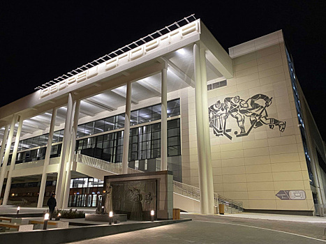 В Самаре впервые пройдет детско-юношеский фестиваль единоборств "Кубок губернатора Самарской области"