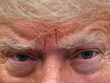 В США рассказали о планах задействовать армию для разгона митингов при Трампе