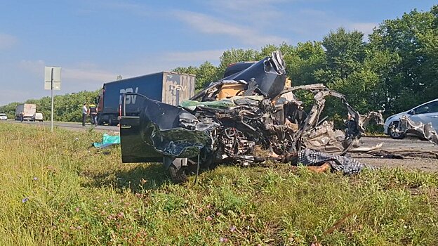 Погибли двое: опубликованы кадры с места ДТП в Нижнеломовском районе