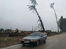 На Иссык-Куле начнут восстанавливать аллею Раппопорта