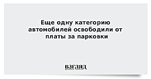 Еще одну категорию автомобилей освободили от платы за парковки