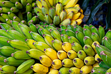 В чем преимущество зеленых бананов для здоровья