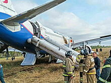 Второй пилот севшего под Новосибирском самолета раньше был бизнесменом