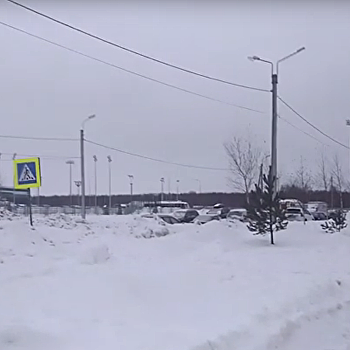«Из Украины в Россию»: Пикта в снежном плену
