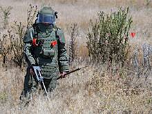 В спецназе «Ахмат» объяснили бесполезность миноискателей на передовой